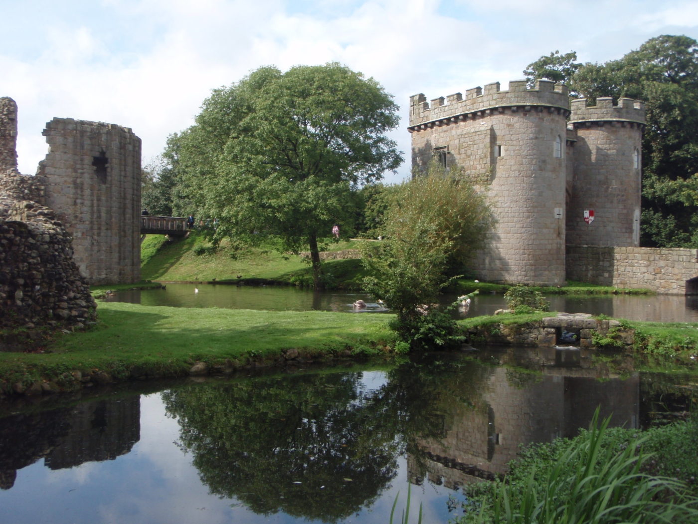 Castle Conservation